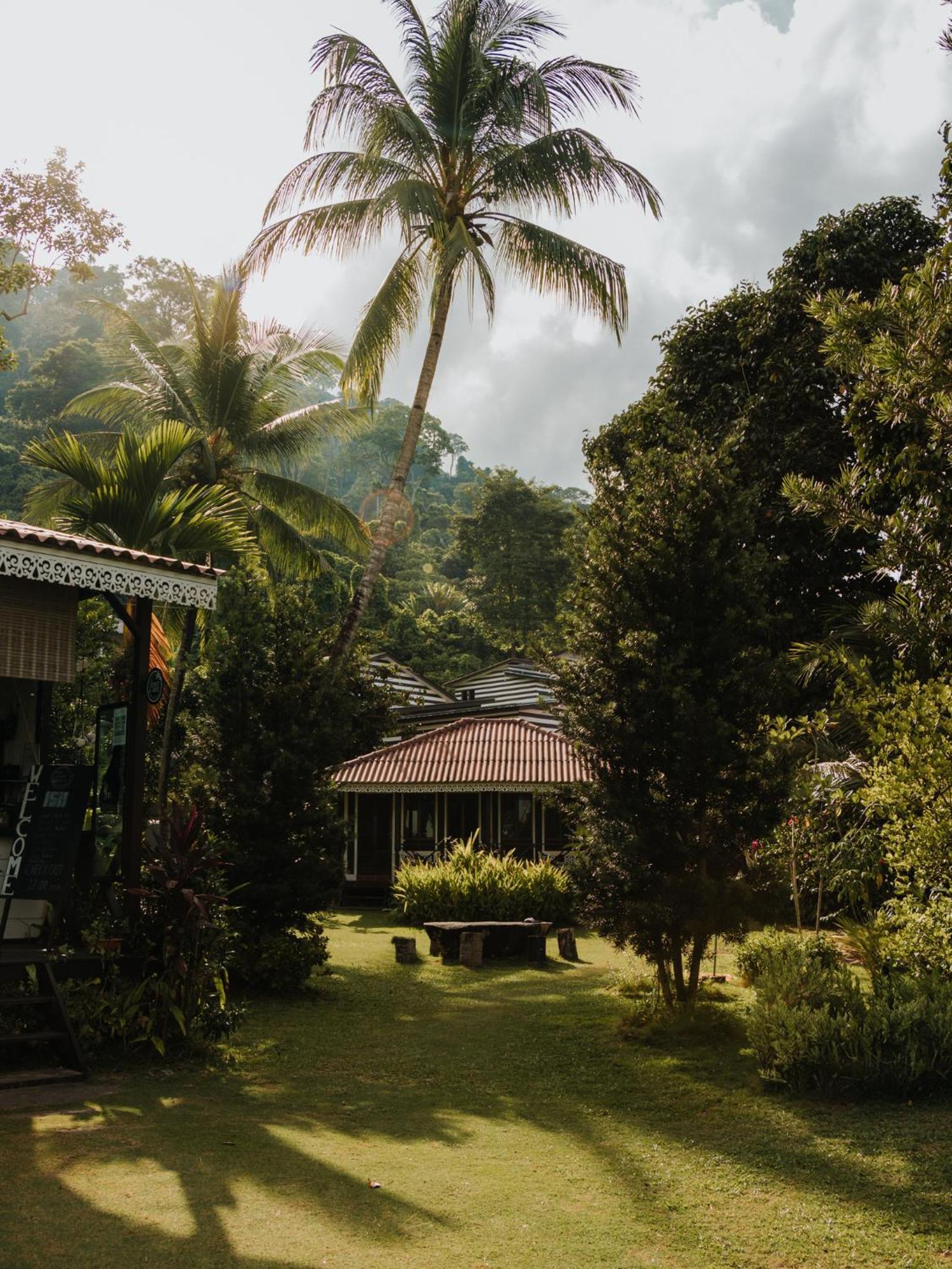 1511 Coconut Grove Villa Kampong Juara Dış mekan fotoğraf