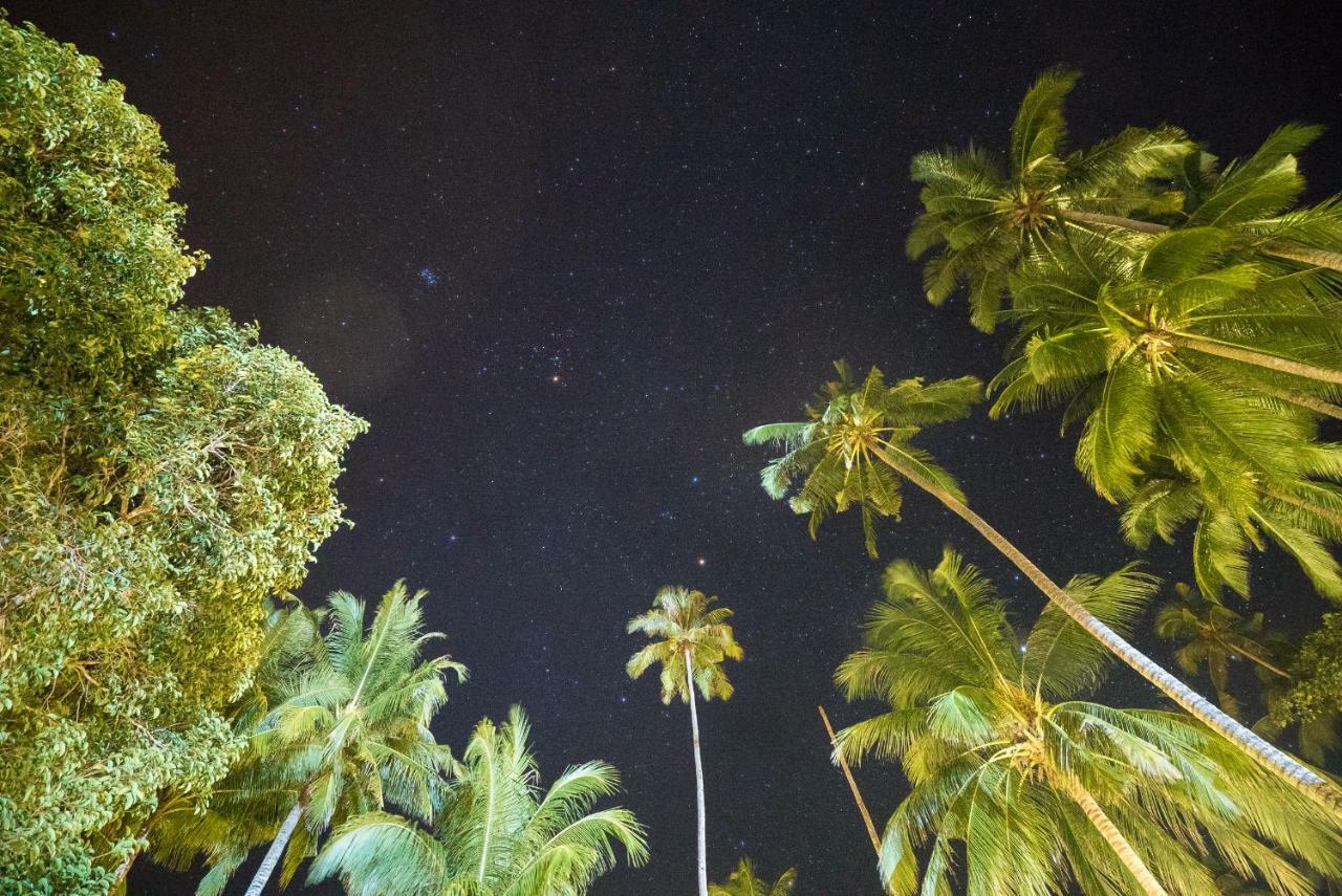 1511 Coconut Grove Villa Kampong Juara Dış mekan fotoğraf